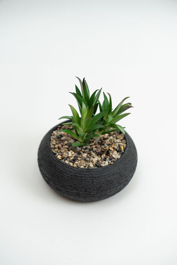 Planta Quovi GUSTO 2 image number null