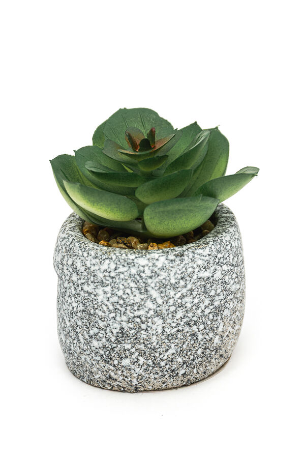 Planta suculenta artificial, mini COLOR UNICO image number null