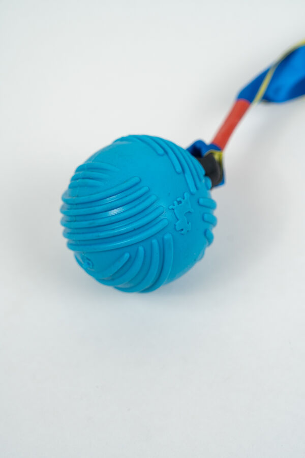 Juguete Pelota COLOR UNICO image number null