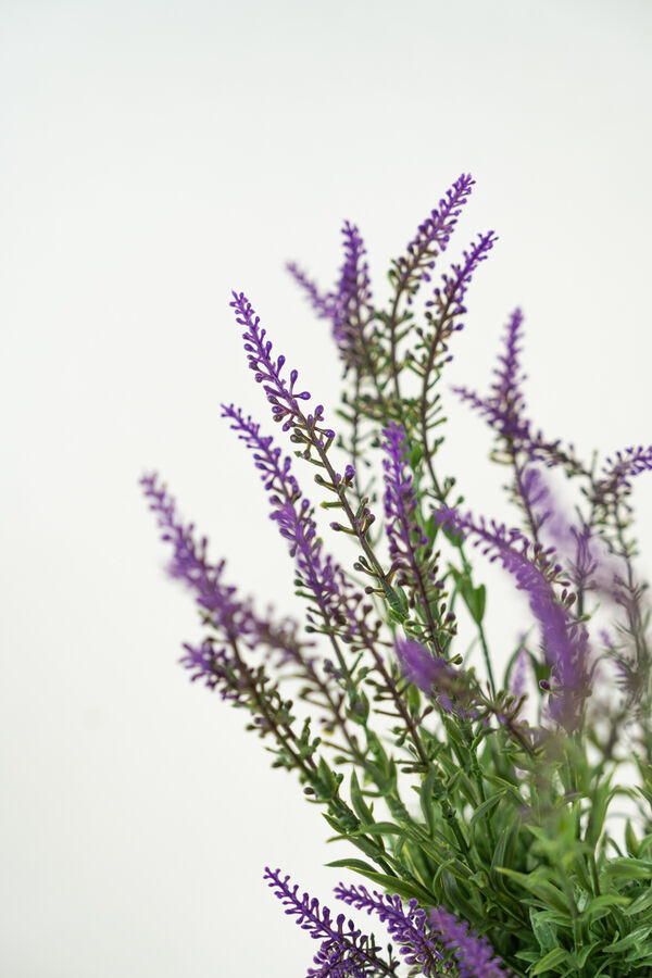 Planta LAVENDER 48CM COLOR UNICO image number null