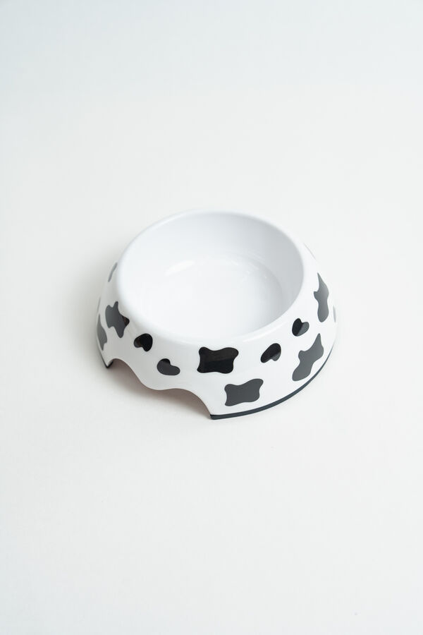 Accesorio Plato para Mascotas COLOR UNICO image number null