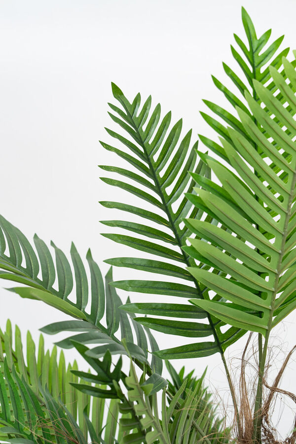 Planta Palmera 120cm COLOR UNICO image number null