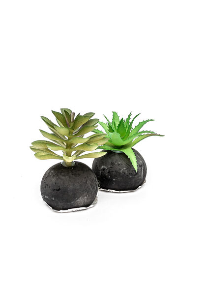 Planta Moa mini, mix COLOR UNICO image number null