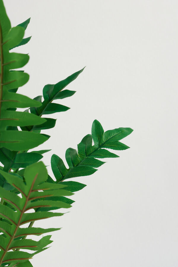 Planta Helecho 42cm COLOR UNICO image number null