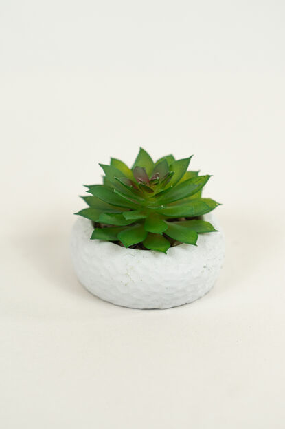 Planta Suculenta 690 Mini, Mix COLOR UNICO image number null