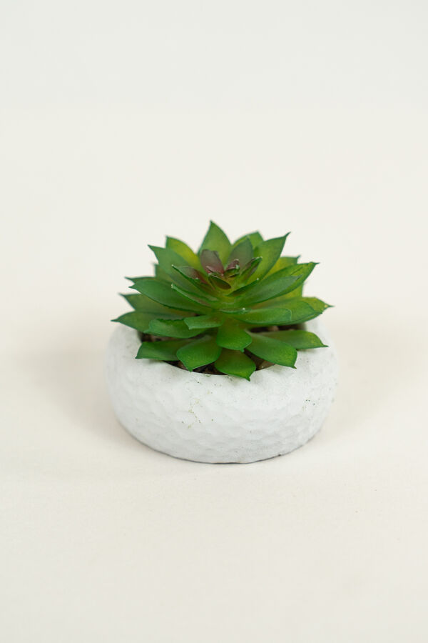 Planta Suculenta 690 Mini, Mix COLOR UNICO image number null