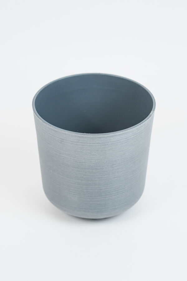 Maceta Branch GRIS image number null