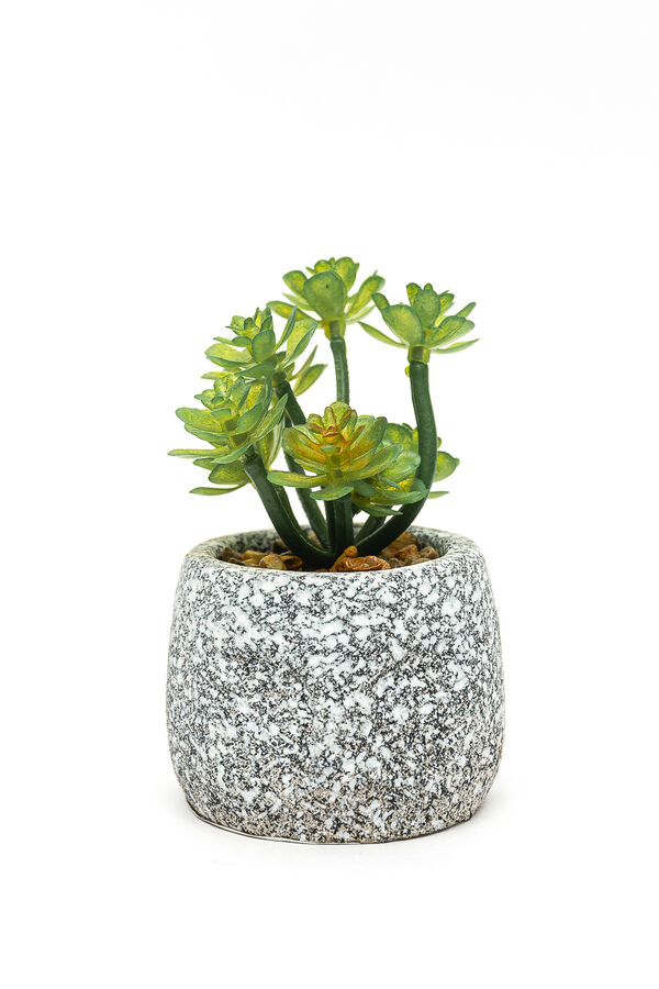 Planta suculenta artificial, mini COLOR UNICO image number null
