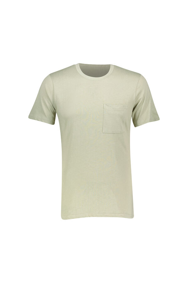 REMERA ACKE VERDE PALIDO image number null