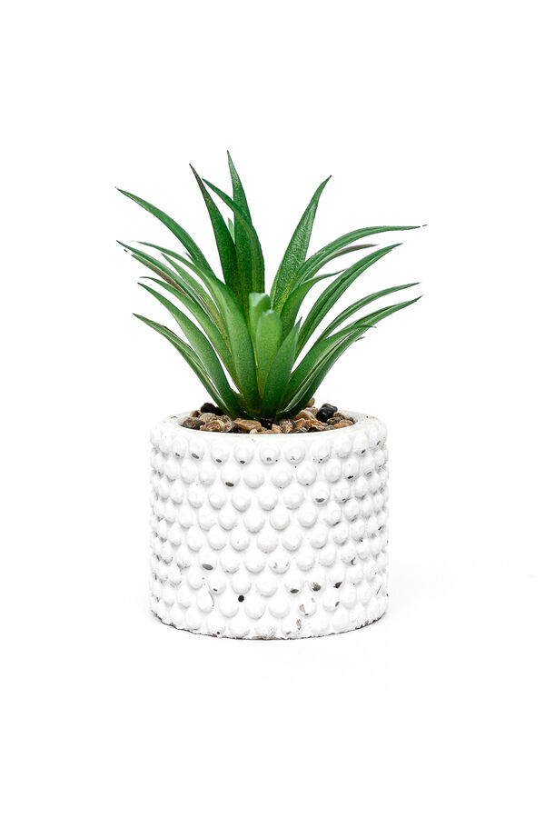 Planta Suculenta 691 Mini, Mix COLOR UNICO image number null