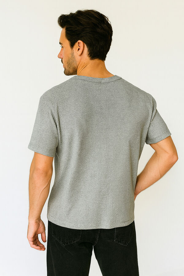 REMERA EVERELDO GRIS CLARO image number null