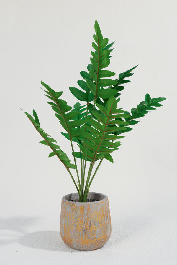 Planta Helecho 42cm COLOR UNICO image number null