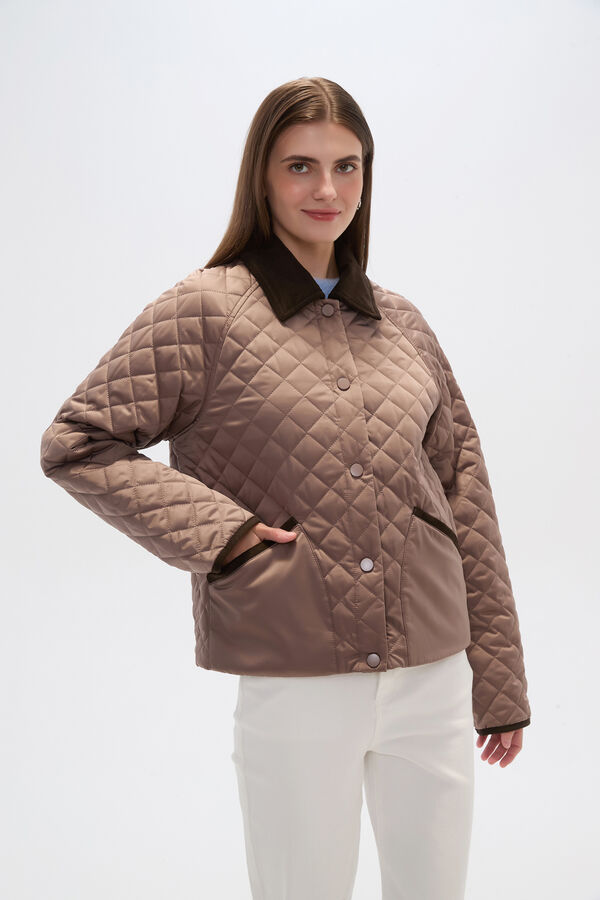 CAMPERA BIANZA TAUPE / MINK / VISON image number null