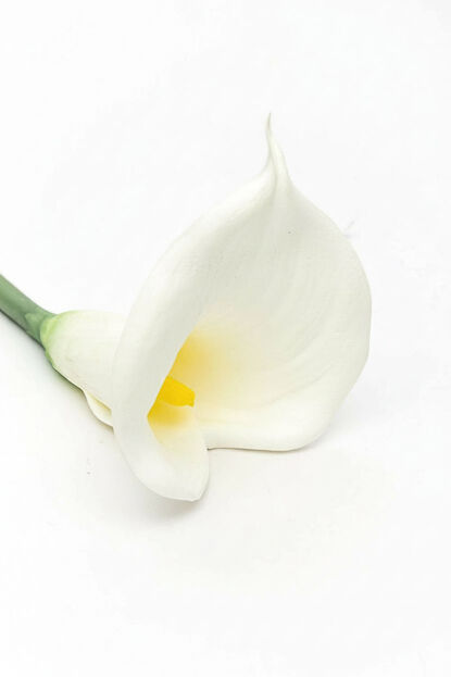 Deco Floral Cala artificial COLOR UNICO image number null