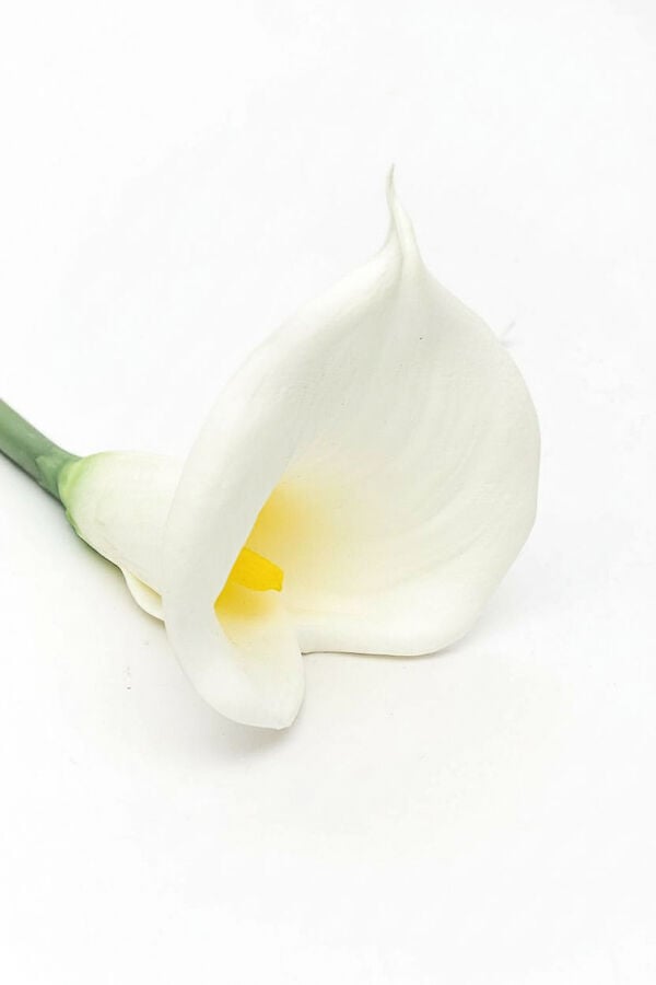 Deco Floral Cala artificial COLOR UNICO image number null