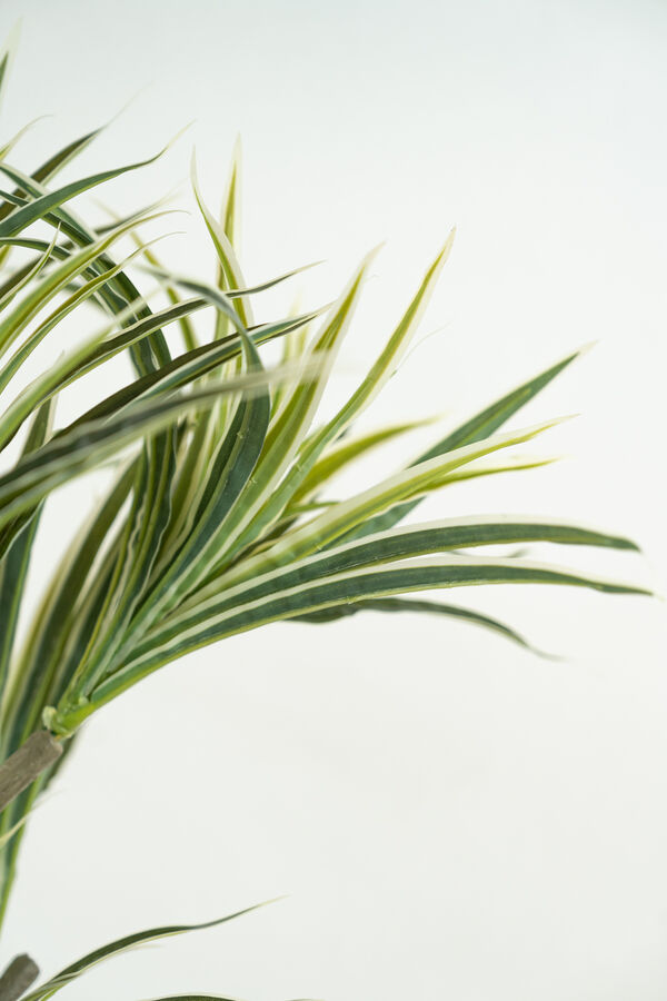 Planta WHITE GRASS 70CM COLOR UNICO image number null
