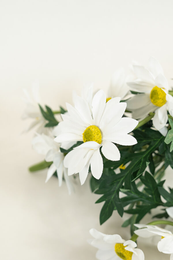 Flor Girasol, Ramo COLOR UNICO image number null