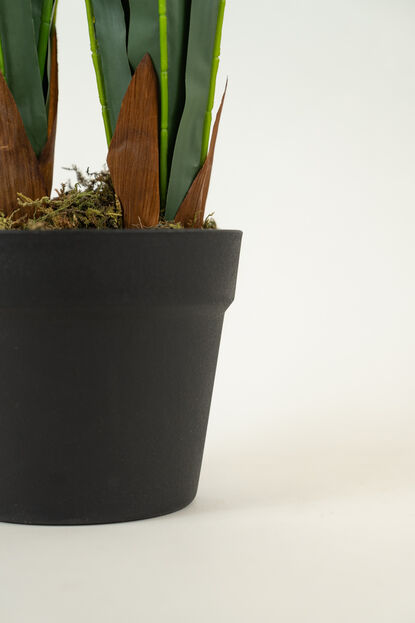 Planta ORCHID 90CM COLOR UNICO image number null