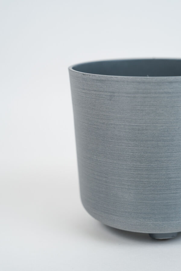 Maceta Branch GRIS image number null