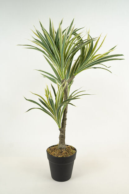 Planta WHITE GRASS 70CM COLOR UNICO image number null
