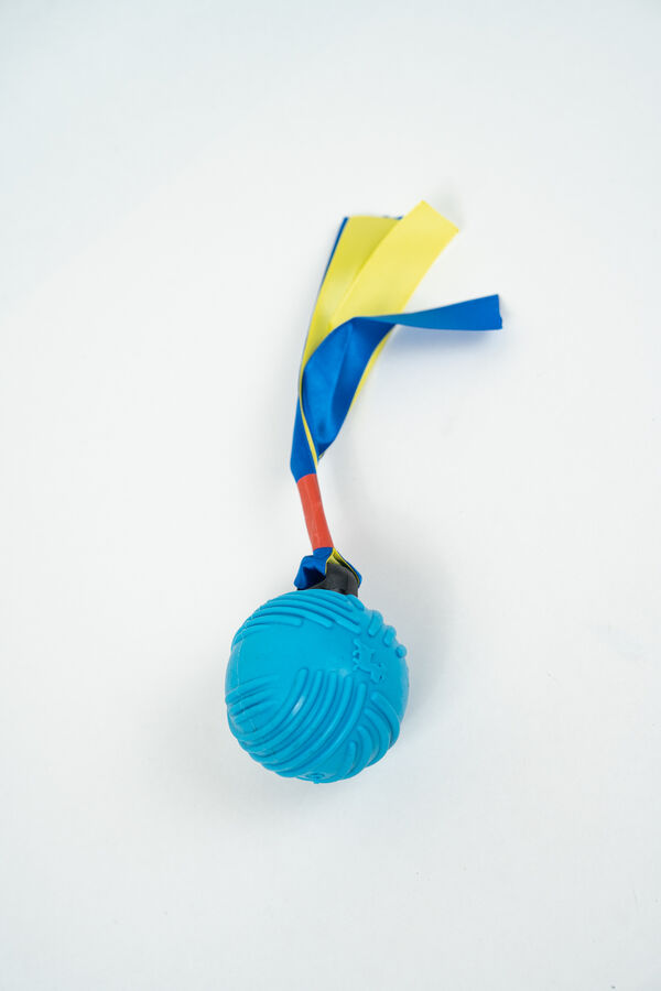Juguete Pelota COLOR UNICO image number null