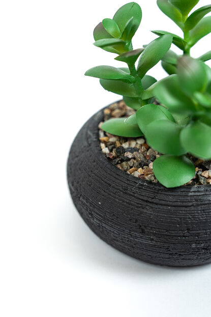 Planta Quovi GUSTO 1 image number null