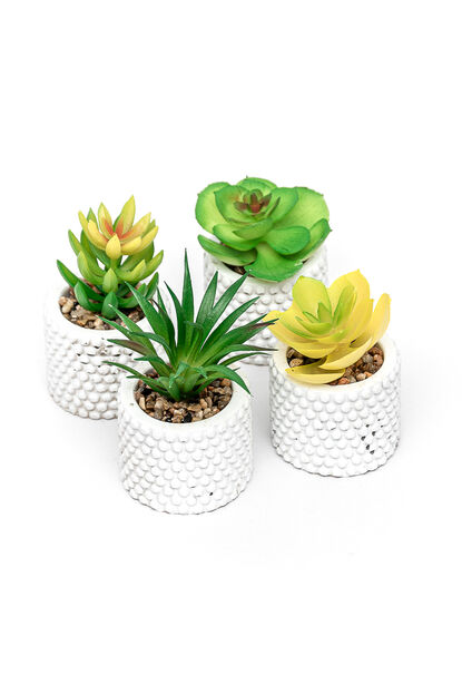 Planta Suculenta 691 Mini, Mix COLOR UNICO image number null