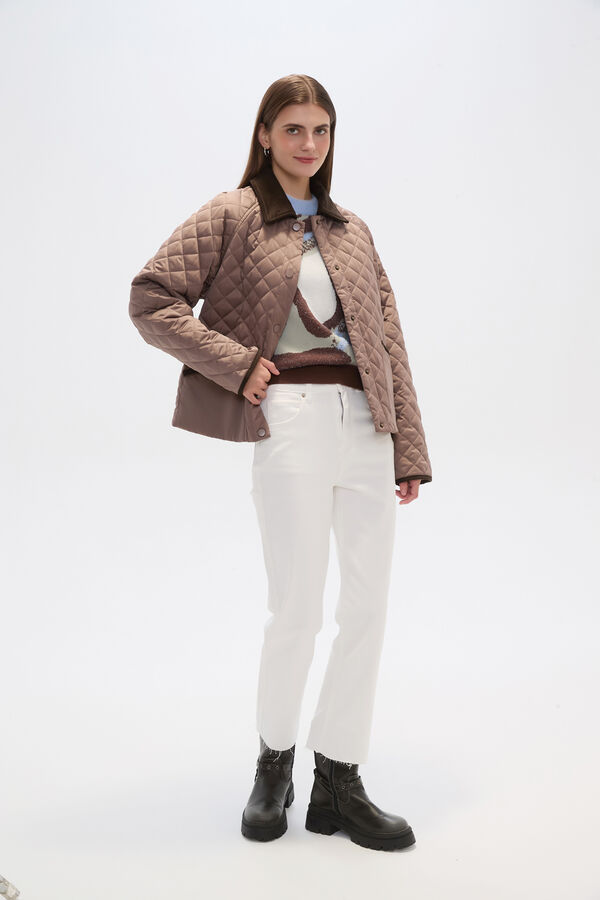 CAMPERA BIANZA TAUPE / MINK / VISON image number null