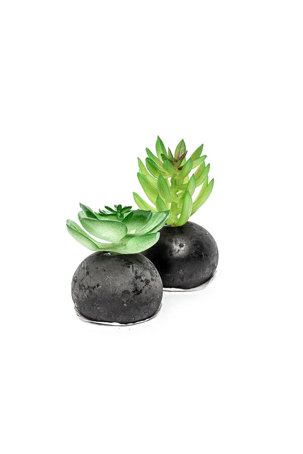 Planta Moa mini, mix COLOR UNICO image number null