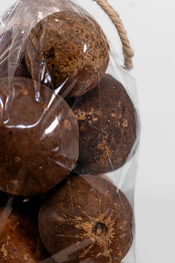 Deco Floral Seco Natural COLOR UNICO image number null