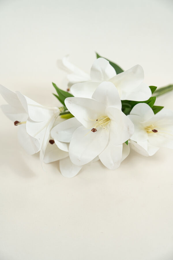 Flor Lirio, Ramo COLOR UNICO image number null