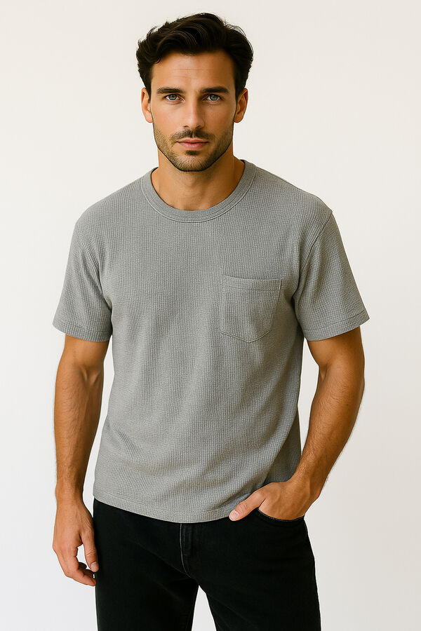 REMERA EVERELDO GRIS CLARO image number null