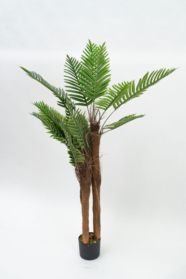 Planta Palmera 120cm COLOR UNICO image number null