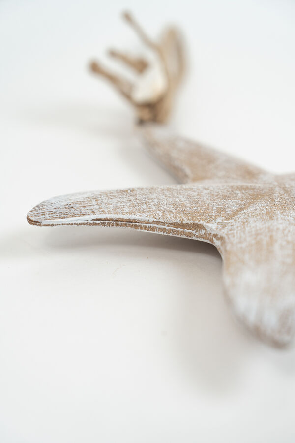 Adorno Estrella de Mar COLOR UNICO image number null