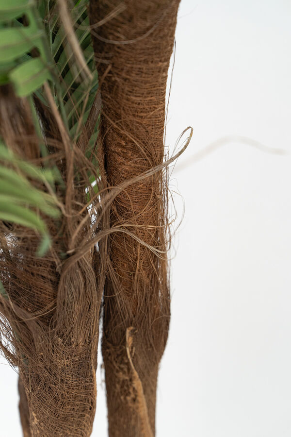 Planta Palmera 120cm COLOR UNICO image number null