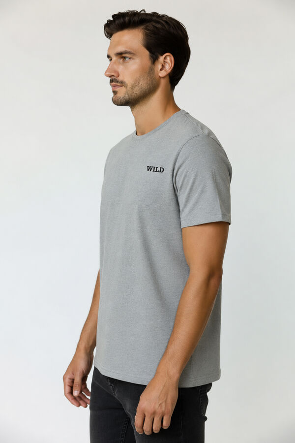 REMERA FADO 70809 GRIS MELANGE MEDIO image number null