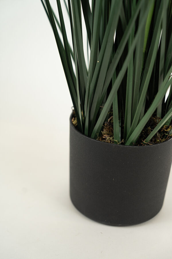 Planta GRASS 95CM COLOR UNICO image number null