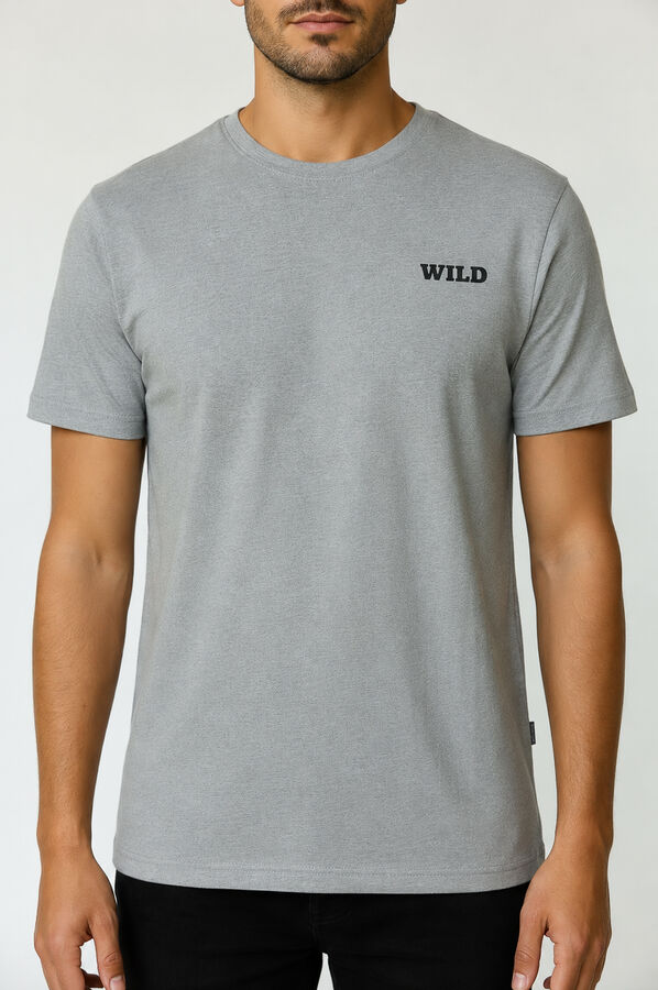 REMERA FADO 70809 GRIS MELANGE MEDIO image number null