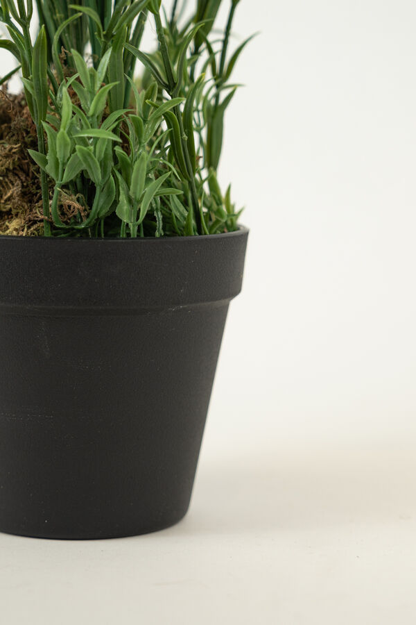 Planta LAVENDER 48CM COLOR UNICO image number null
