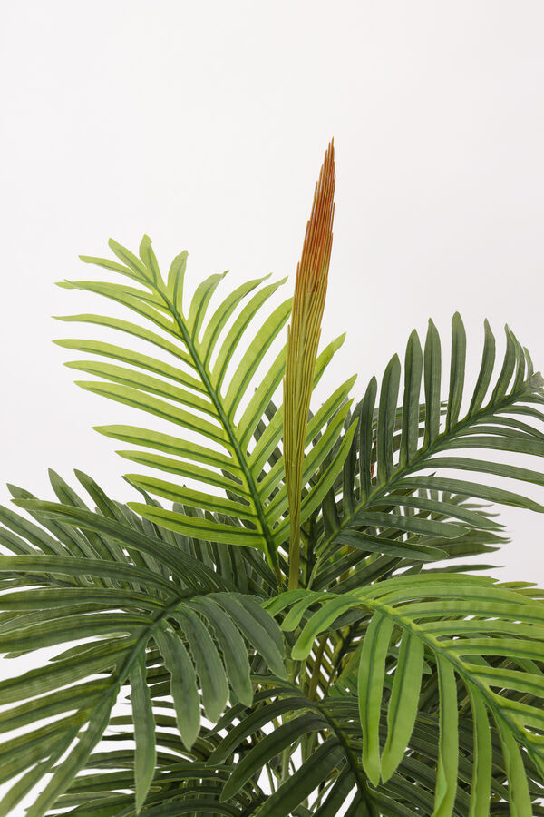 Planta Palmera Areca 85cm COLOR UNICO image number null