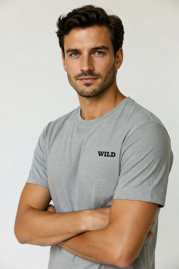 REMERA FADO 70809 GRIS MELANGE MEDIO image number null