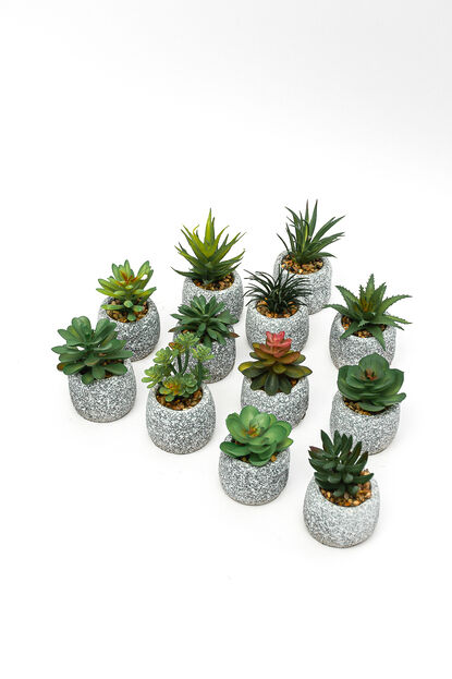 Planta suculenta artificial, mini COLOR UNICO image number null