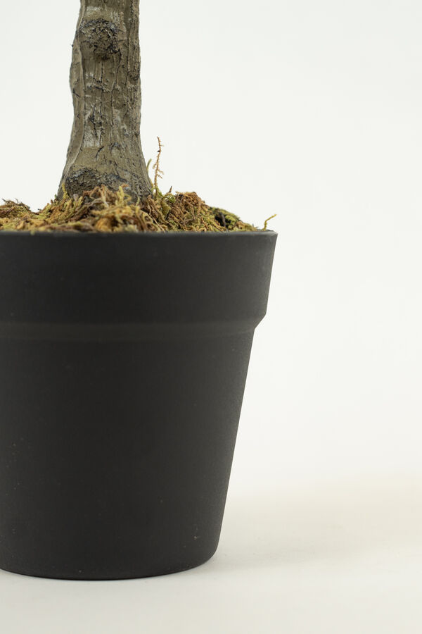 Planta WHITE GRASS 70CM COLOR UNICO image number null