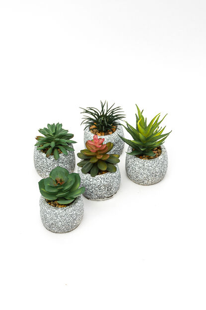 Planta suculenta artificial, mini COLOR UNICO image number null
