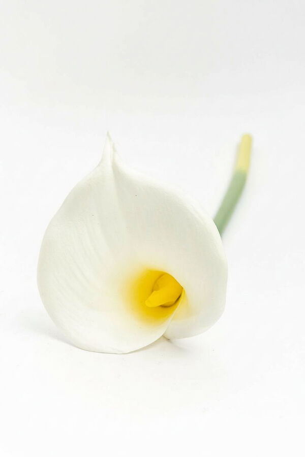 Deco Floral Cala artificial COLOR UNICO image number null