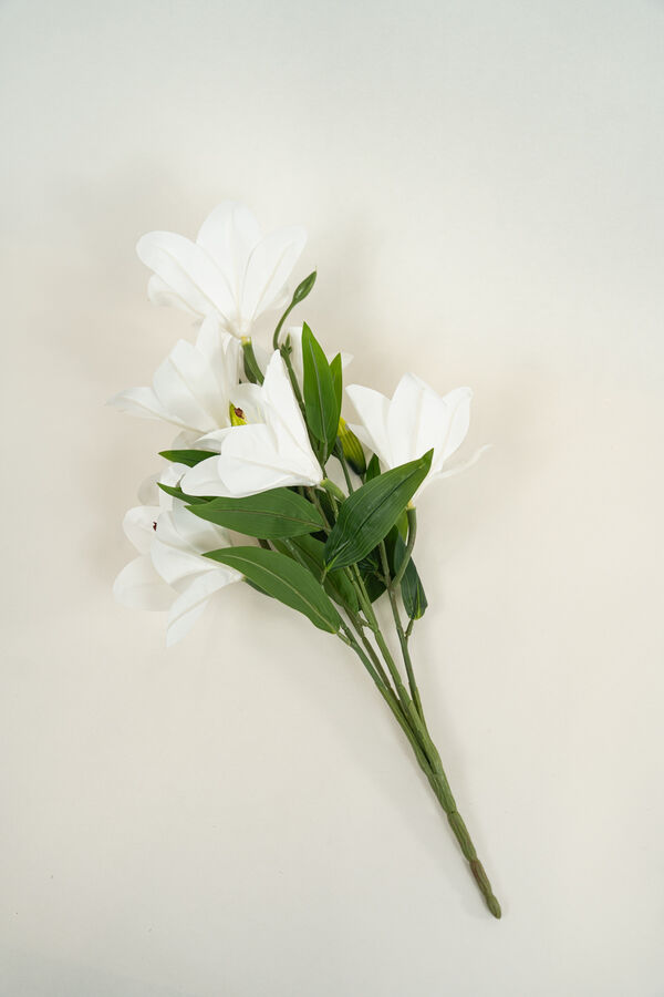 Flor Lirio, Ramo COLOR UNICO image number null