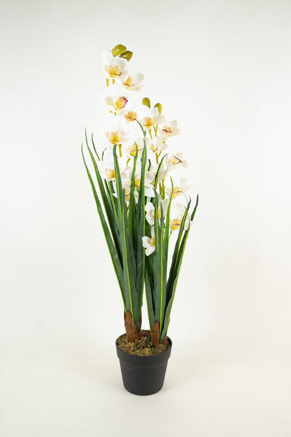 Planta ORCHID 90CM COLOR UNICO image number null