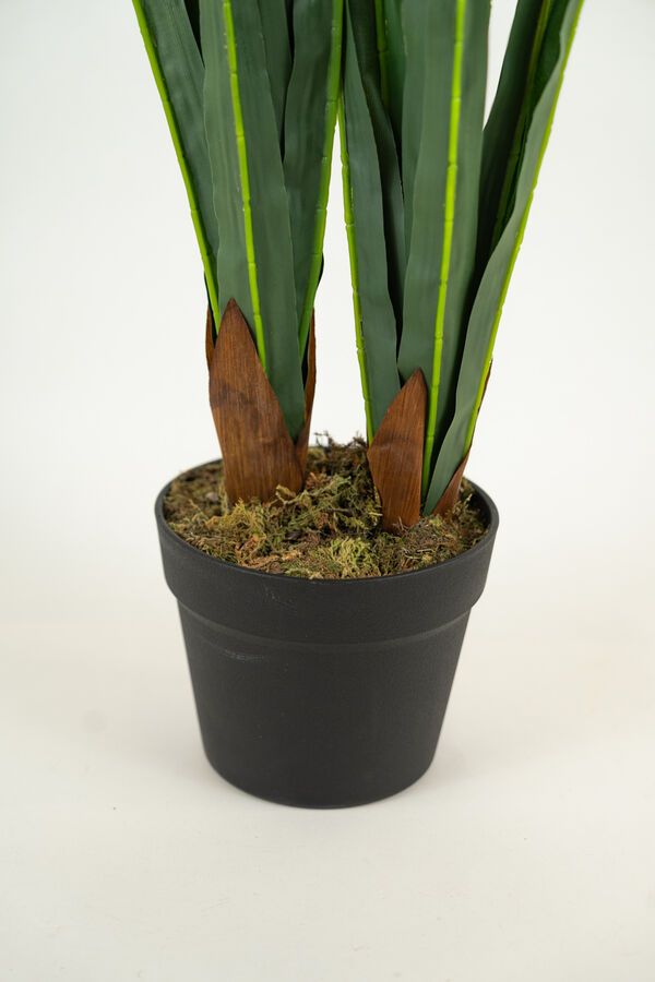 Planta ORCHID 90CM COLOR UNICO image number null