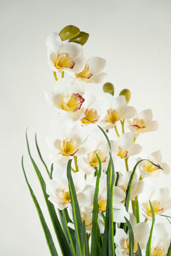 Planta ORCHID 90CM COLOR UNICO image number null