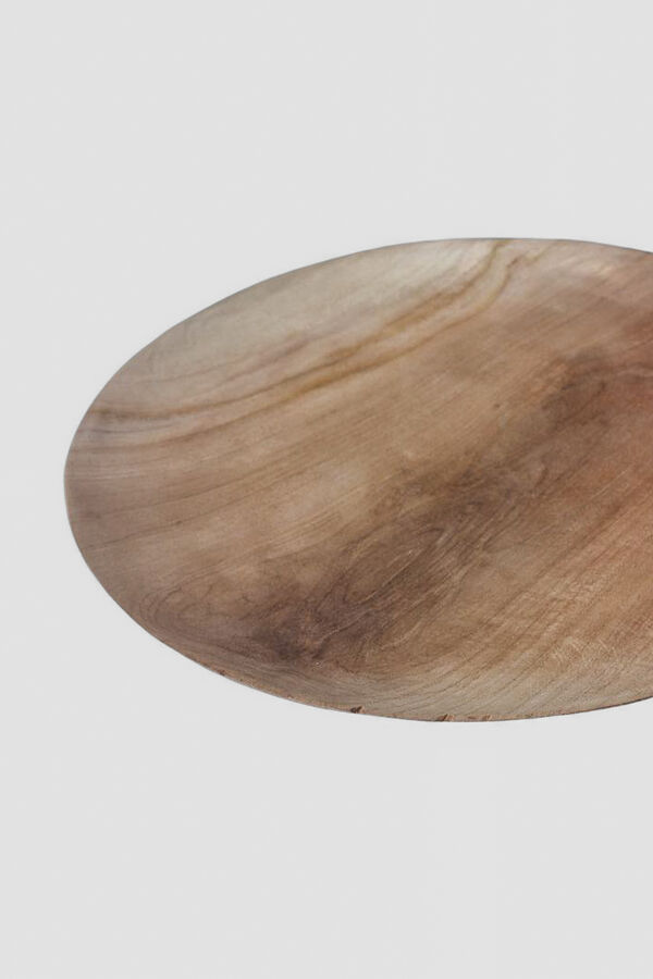 Bandeja Root COLOR UNICO image number null